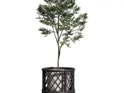 Kathyscove Jamies Diamond Black Planter - Medium 3D model