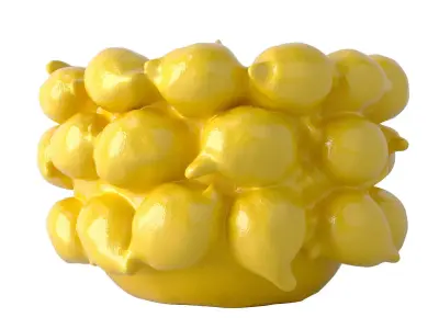 Ceramic Lemon Planter 3D model