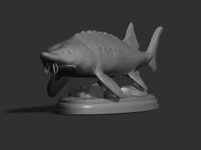 Sturgeon Beluga fish on the base 3D print model