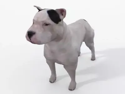 Pitbull dog Low-poly 3D model