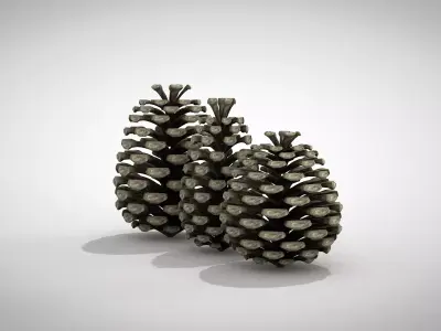 Christmas Pine Cone 3D Model 3D model