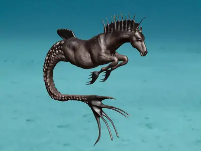 hippocampos mermaid horse 3D model