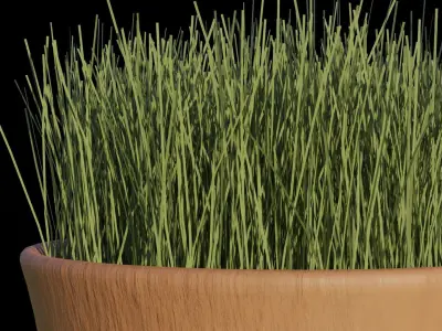 Grass in pot Low-poly 3D model