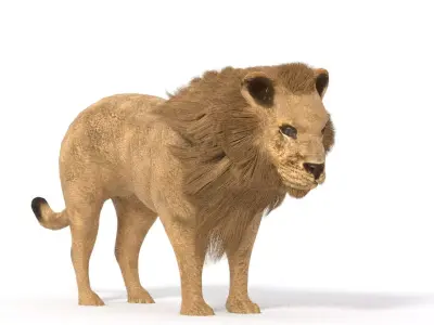 lion lowpoly Low-poly 3D model