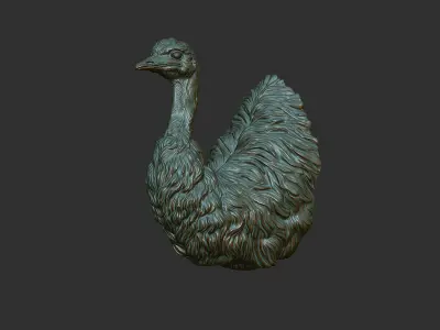 Emu ostrich bust 3D print model