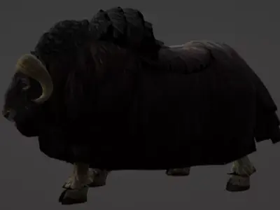 Musk Ox 3D Model Ultra Realistic Arctic Animal Low-poly 3D model