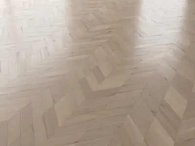 Parquet Oak Vergne Brushed set 1 3D model