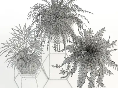 Plants collection 88 3D model
