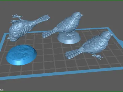 Sparrow on the base 3D print model
