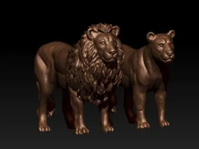 lion lioness 3D model