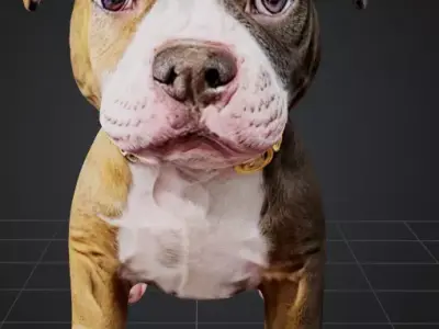 Pitbull Puppy HQ Low-poly 3D model