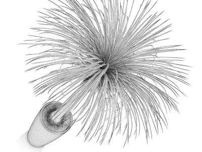 Palm Tree in Round Pot 3 3D model