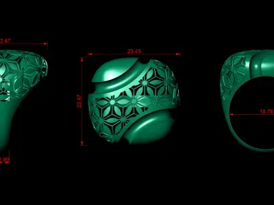 Fusion ring 3D print model