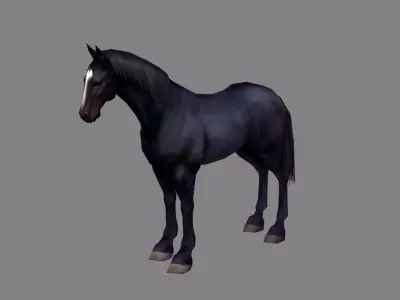 A black horse Low-poly 3D model