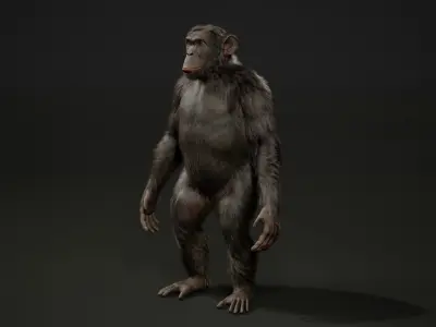 Chimp Rig UNREAL project  Maya base rig 3D model