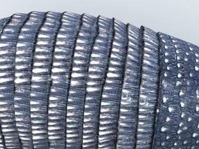 Armadillo 3D model