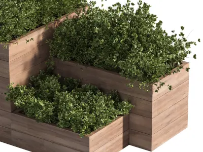 Outdoor Plants Tree in Plant Box Set02 3D model