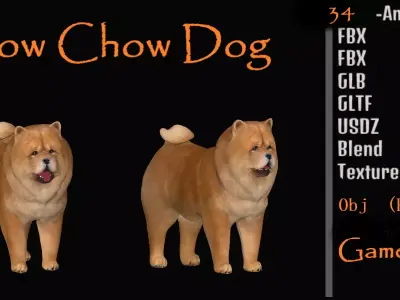 Chow Chow Dog Low-poly 3D model