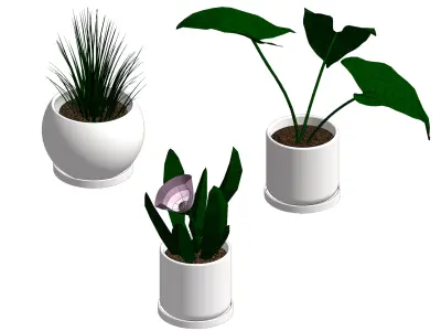 Plants Revit Families 3D model