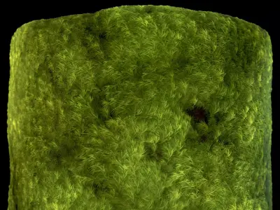 Broom Fork Moss PBR Material and  Texture