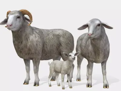 SHEEP FAMILY Low-poly 3D model