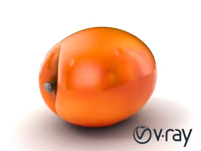 Warm Orange-Yellow Apricot Model Pack Low-poly 3D model