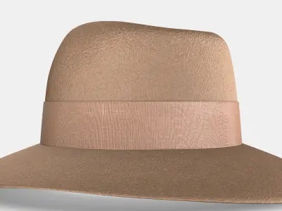 MAISON MICHEL VIRGINIE 3D model