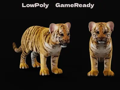 Tiger Cub Mammal Low-poly 3D model