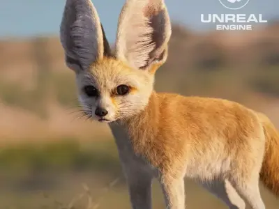 Fennec  UE Character Asset 3D model