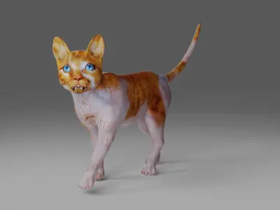 Calico Cat Rigged and Animated V2 in Blender Low-poly 3D model