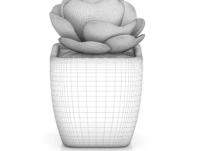 Small Plant in White Pot 2 3D model