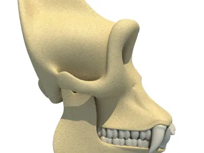 Realistic Gorilla Skull  3D model