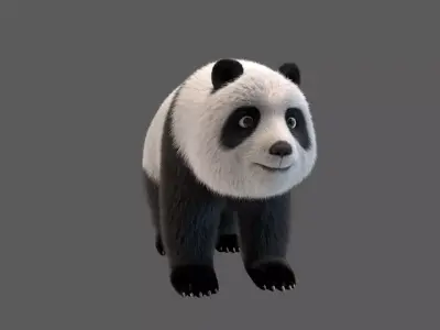 panda  huahua 3D model
