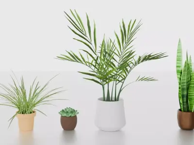 Indoor plants for decoration Low-poly 3D model