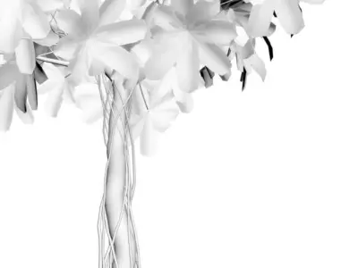 Young tree in white pot 3D model