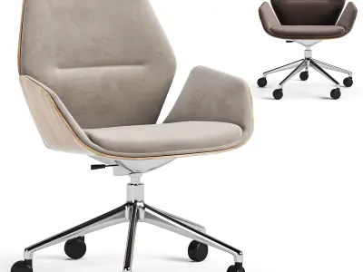 Ginkgo Conference Armchair 3D model