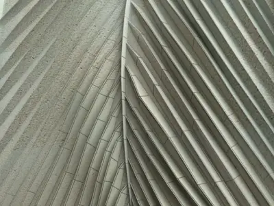 Coconut Leaft Ornament 001 Free 3D model