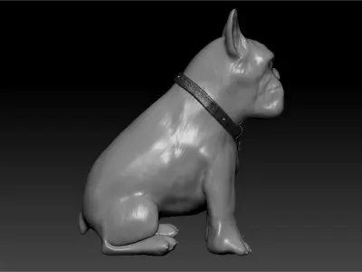 Bulldog french 3D model