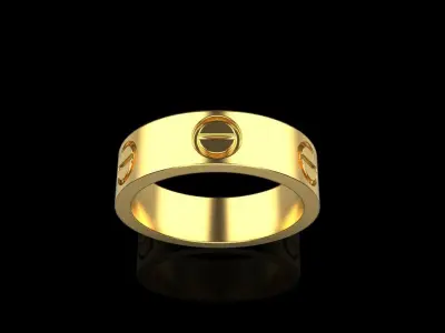 Ring model 566 3D print model