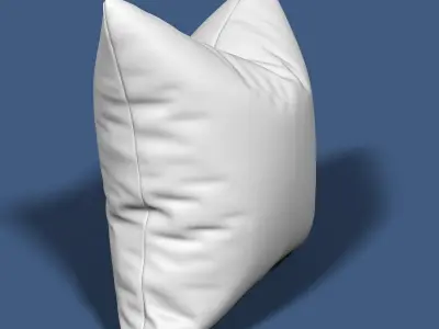Pillow 57 3D model
