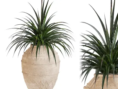 Indoor Plant Set 02 3D model