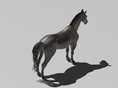Realistic Muscular Horse Low-poly 3D model