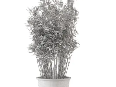 Outdoor Plants Bamboo in rusty Clay Pots - Set 10 3D model