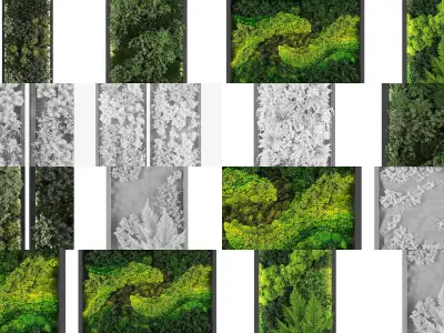 Collection of Vertical garden - 20 