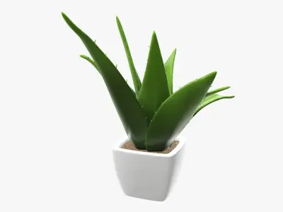 Cactus composition artificial 01 3D model