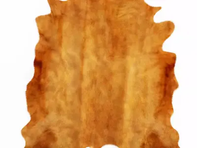 Brown Cowhide Rug 3D model
