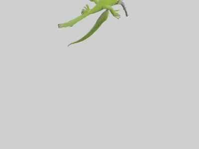 Green Anole climbing model Low-poly 3D model