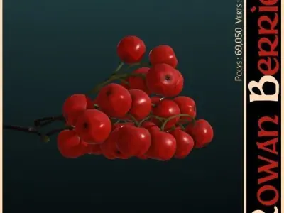 Rowan Berries 3D model