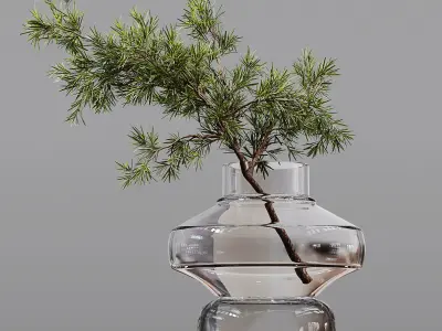 Collection Indoor Plants 03 3D model