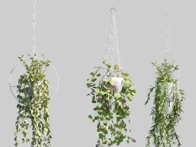 Hanging Pots with Plants Low-poly 3D model